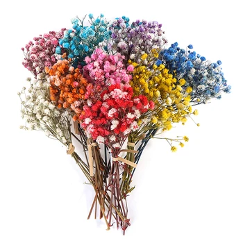 1 Buket Mini Papatya Yıldız Buket Kurutulmuş Çiçekler Renkli Doğal Bitki Korumak Çiçek Düğün Ev Dekor İçin Fotoğraf Sahne