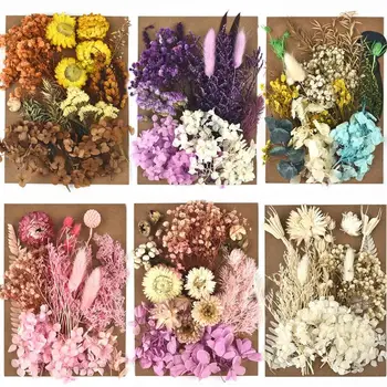 DIY Kurutulmuş Gerçek Çiçekler Reçine Kalıp Yapımı İçin Reçine Dolgu Tırnak Sanat Ev Zanaat Ev Odası Dekor Düğün Parti Dekorasyon Açık